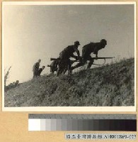 藏品(粵省中山順德兩縣之游擊隊)的圖片